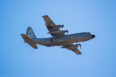 C130 Bisontes - LPTN 26032026